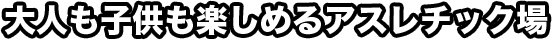 大人も子どもも楽しめるアスレチック場