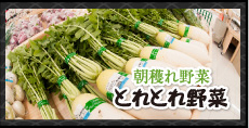 朝採れ野菜　とれとれ野菜