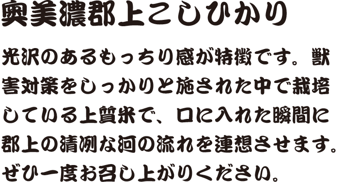 奥美濃郡上こしひかり