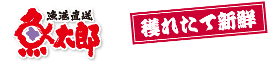 漁港直送　魚太郎　穫れたて新鮮