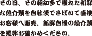 その日、その朝知多で穫れた新鮮な魚介類を自社便でさばいて直接お客様へ販売。新鮮自慢の魚介類を是非お確かめください。