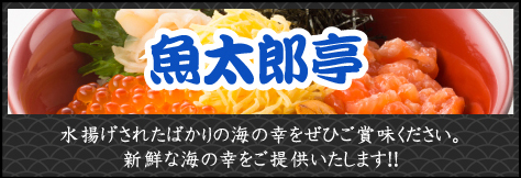 魚太郎亭／水揚げされたばかりの海の幸をぜひご賞味ください。新鮮な海の幸をご提供いたします！！